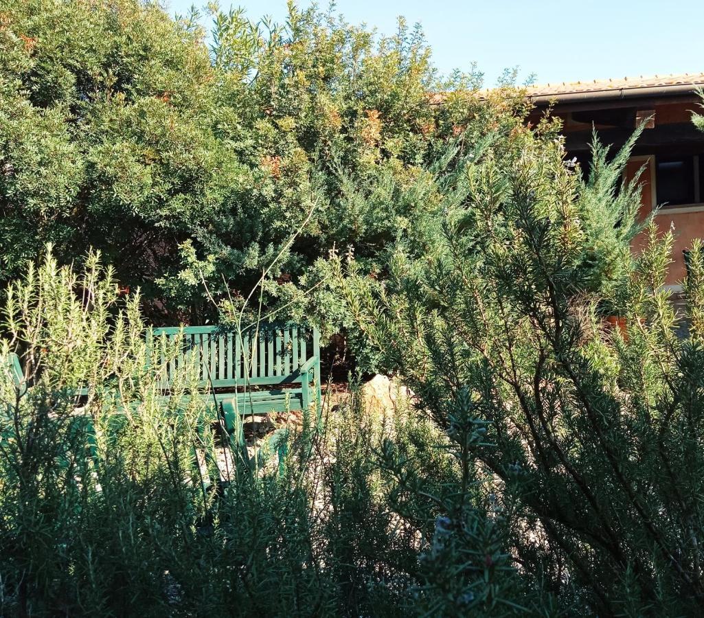 Agriturismo Pedru Caddu Tula Extérieur photo